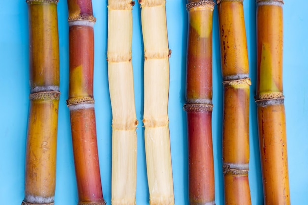 Sugar cane on blue background