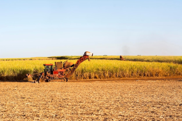 Sugar cane truck on the road