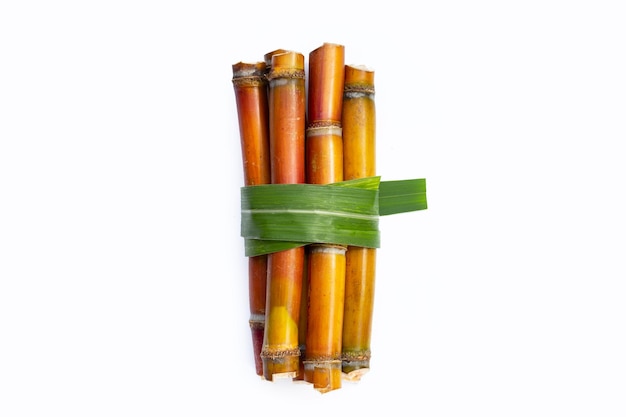 Sugar cane on white background