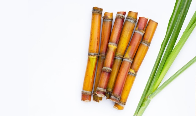 Sugar cane on white background