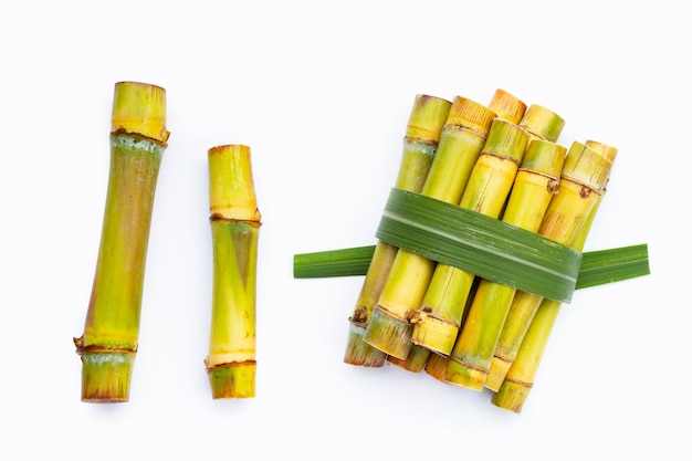 Sugar cane on white background