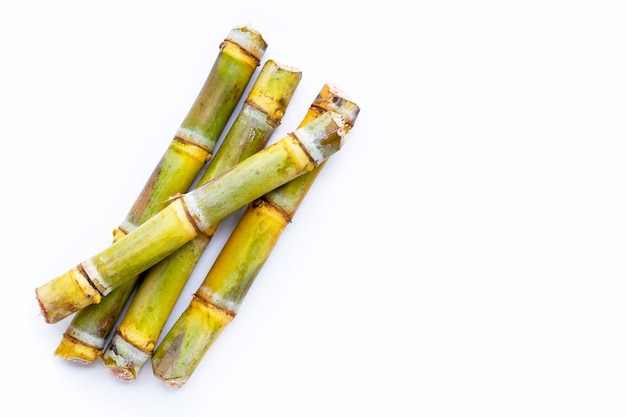 Sugar cane on white background