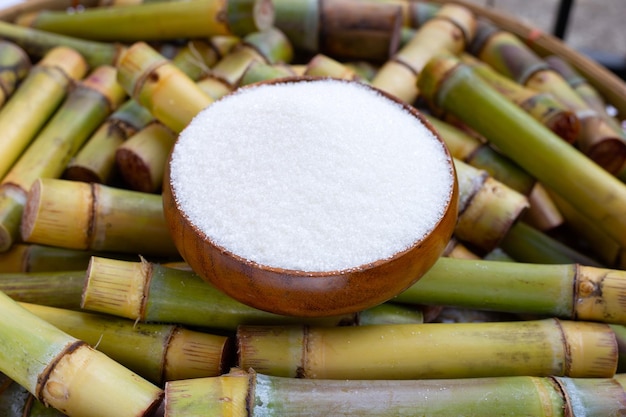 Sugar with cut sugar cane