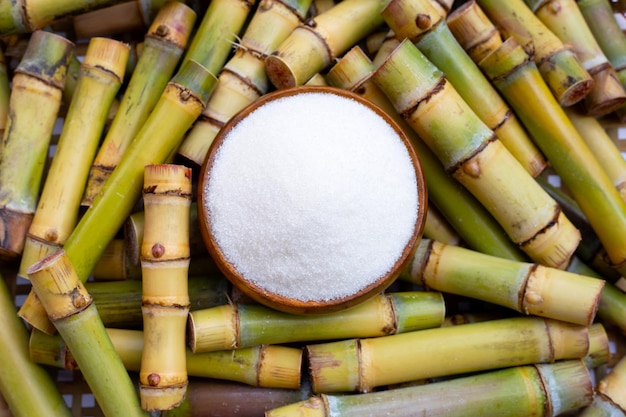 Sugar in wooden bowl on sugar cane on blue background