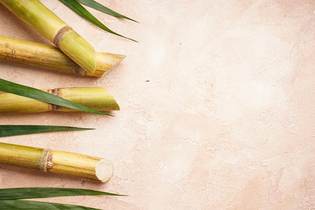 Sugarcane and green leaf on a beige background space for text Top view