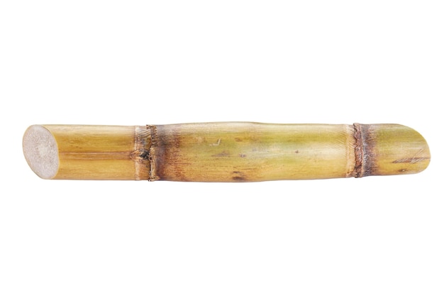 Sugarcane isolated on white background closeup