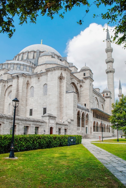 Suleymaniye Mosque against the background of blue sky and green leaves