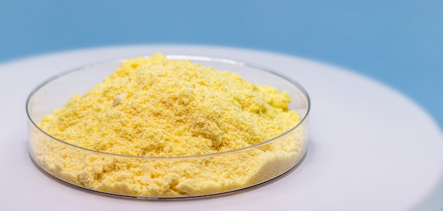 Sulfur powder in petri dish, chemical substance for industrial use