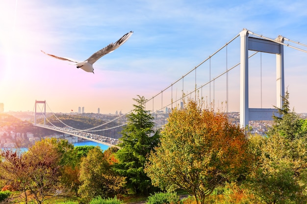 Sultan Fatih Mehmet Bridge, view from the park, Istanbul.