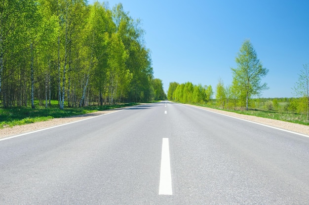 Summer asphalt road with trees on a sunny day travel or vacation concept background