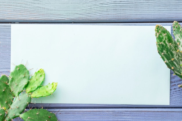 Summer background blue envelope, succulents, on a blue wooden background