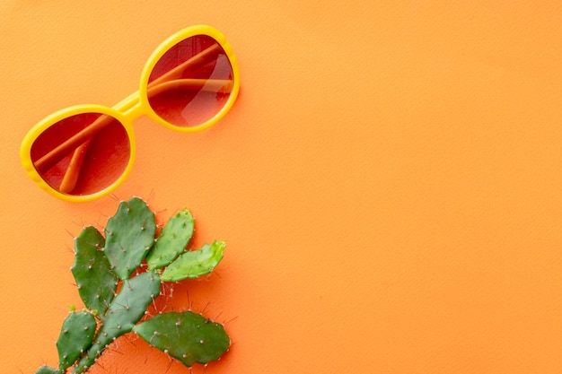 Summer background succulent, sunglasses on orange background