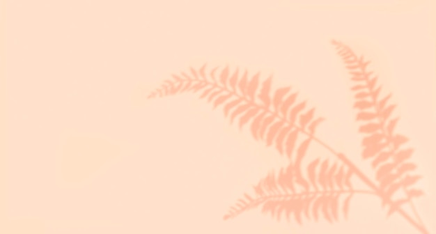 Summer background of tropical shadow branch leaves on a pastel light pink background copy space