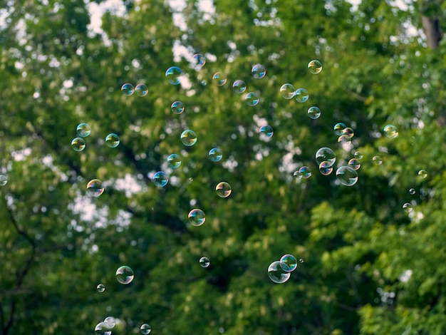 Summer background with bright soap bubbles.