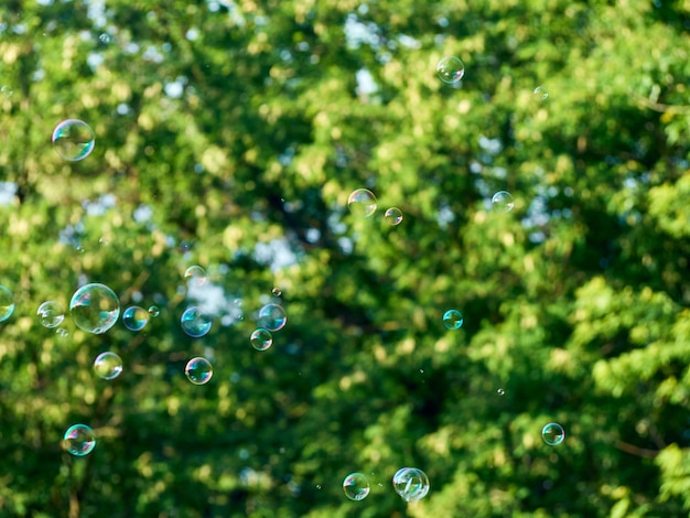 Summer background with bright soap bubbles.