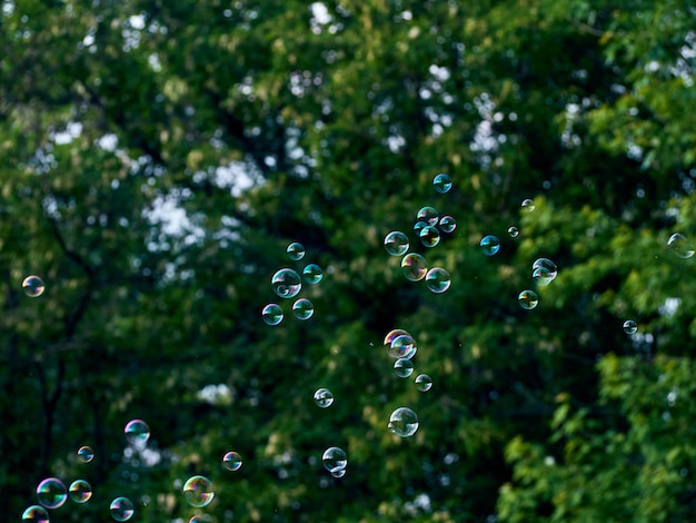 Summer background with bright soap bubbles