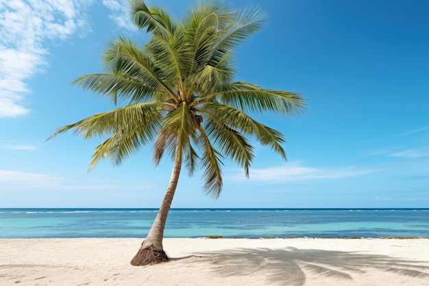 Summer Beach Coconut tree professional photography AI Generated