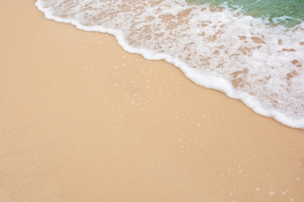 Summer beach concept - Soft wave of sea on empty sandy beach wall with copy space
