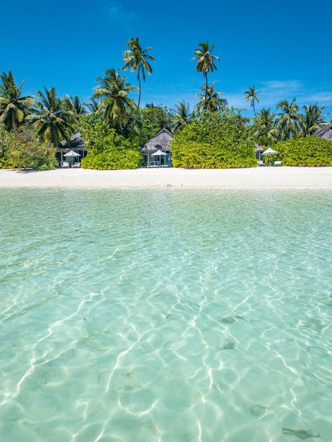 Summer beach landscape. Exotic shore, coast with palms, white sand, sunny sky. Vacation wallpaper