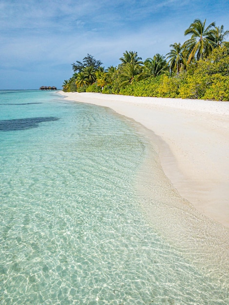 Summer beach landscape. Exotic shore, coast with palms, white sand, sunny sky. Vacation wallpaper