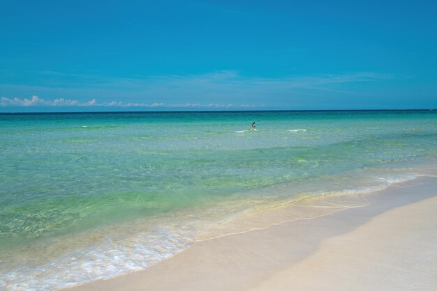 Summer beach and sea perfect ocean background beautiful sea wave and blue sky