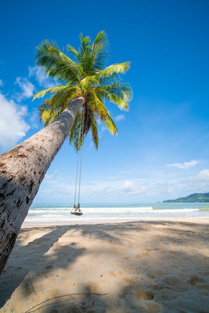 Summer beach sea sun sand sunny coconut tree reaching towards the sea beautiful