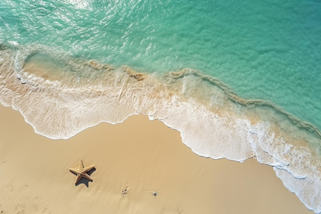 Summer Beach Vacation Background with Clean Sea Ocean Water and Starfish on the Coast