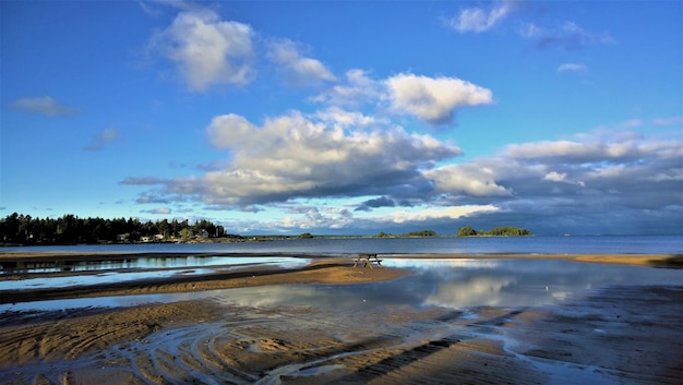 summer beach