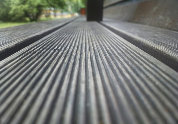 Summer bench low angle view backdrop