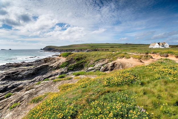 Summer at Boobys Bay in Cornwall