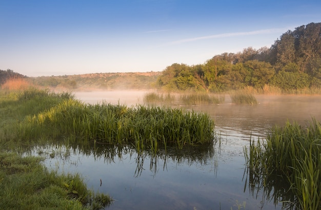 Summer. Calm river shore. Riverside Grass. Morning fog