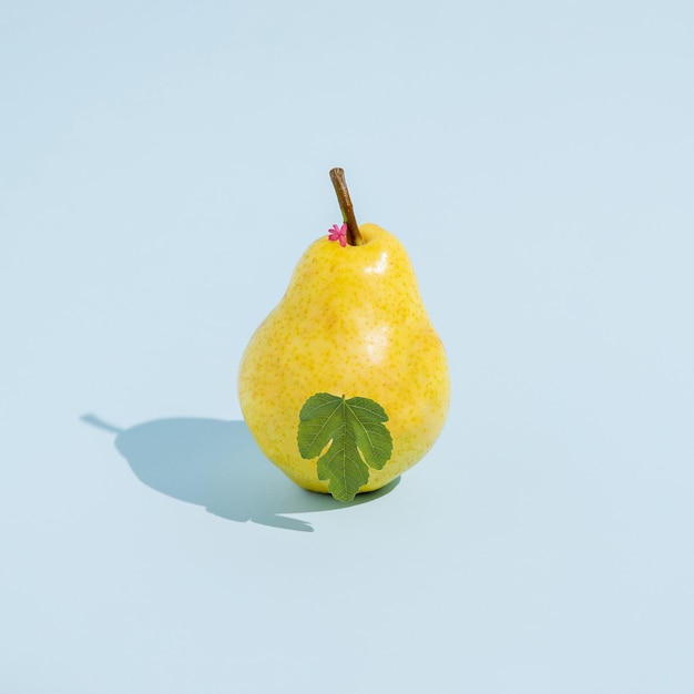 Summer concept.Eva like pear fruit with fig leaf isolated on a yellow background. Abstract. Square layout