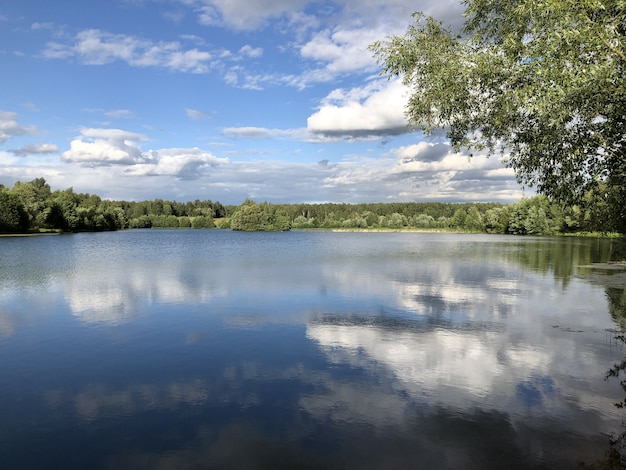 Summer day on a forest lake