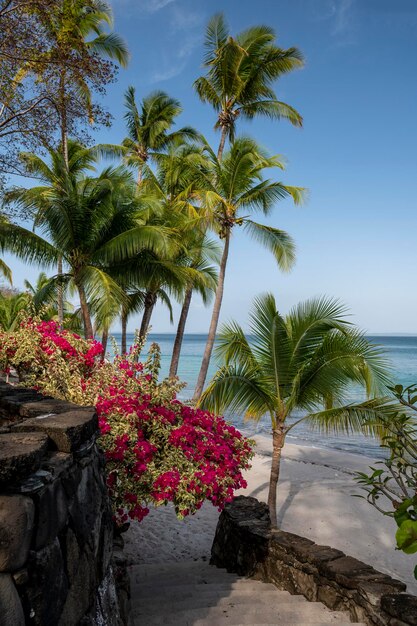 Summer evening by the sea shore Las Perlas archipelago Panama Central America