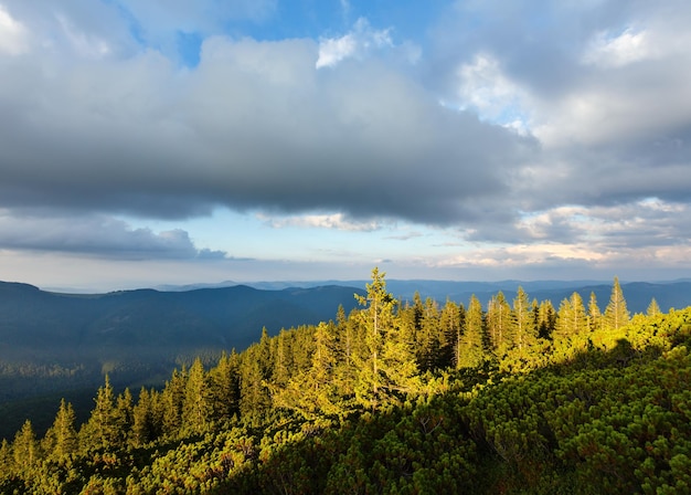 Summer evening Gorgany mountain ridge view from Homiak Mount top (Carpathian, Ukraine).