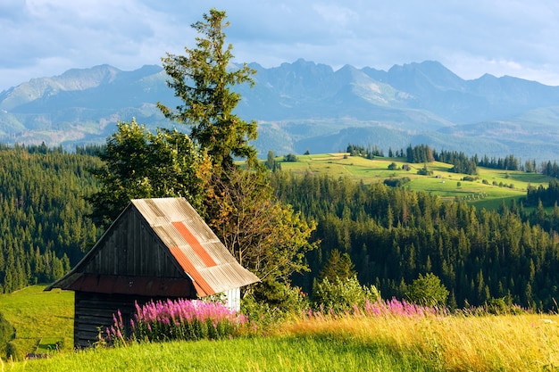 Summer evening mountain village outskirts with pink flowers and wooden shed in front and Tatra range behind(Gliczarow Gorny, Poland)