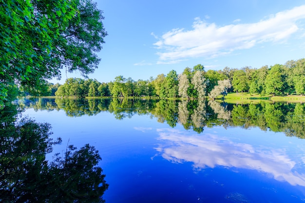 Summer evening in the Park with a lake.