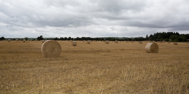 Summer Farm Scenery with Haystack on the Background of Beautiful Sunset. Agriculture Concept.