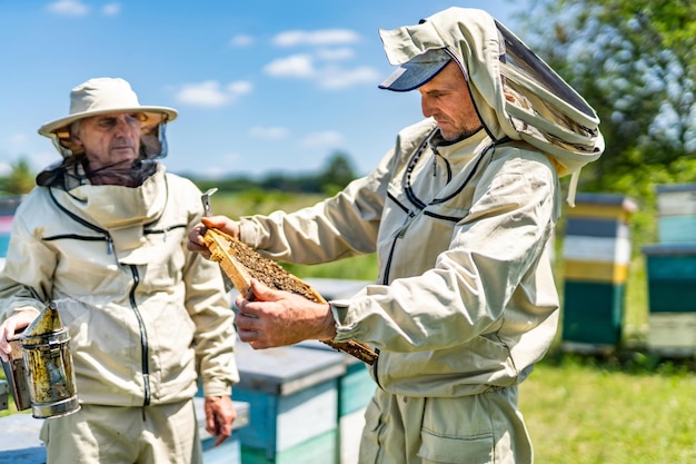 Summer farming organic honey Beekeeper in apiary with honeycombs