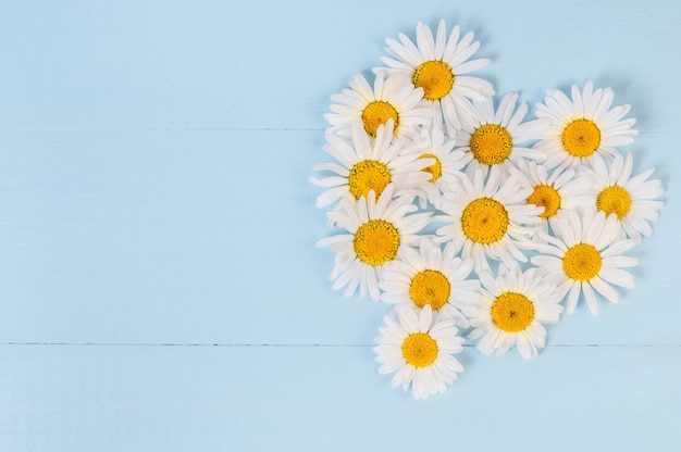 Summer Floral heart pattern with chamomile daisy flower over blue vintage wooden background. Love concept. Flat lay, top view