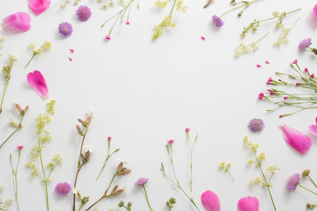 Summer flowers on white paper background