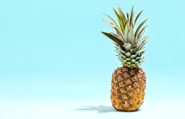 Summer food concept, popular summer fruit pineapple front view background with copy space for a text