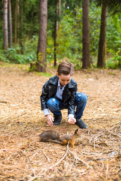 In the summer in the forest the boy feeds the squirrel with nuts