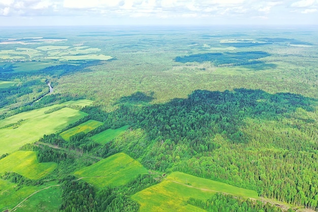 summer forest top view drone, background green trees panorama landscape