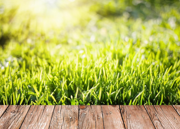 Summer garden background with green grass and wooden planks