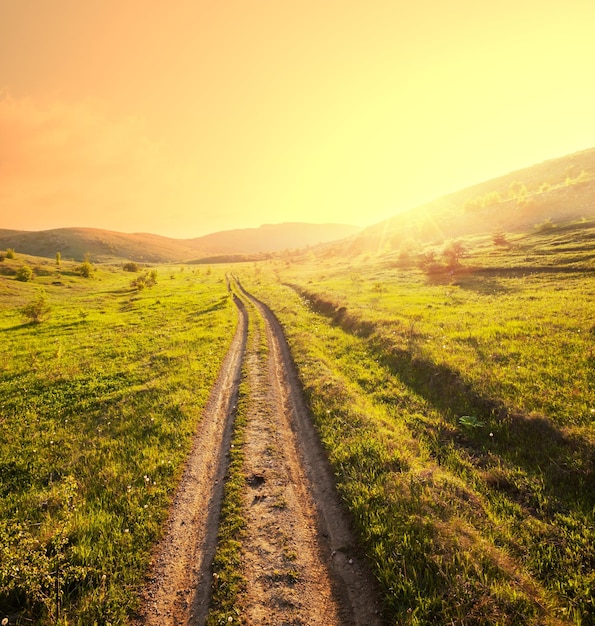 summer grassland at sunset