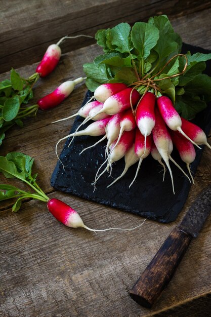 Summer harvested red radish Organic vegetables Raw fresh juicy garden radish Copy space