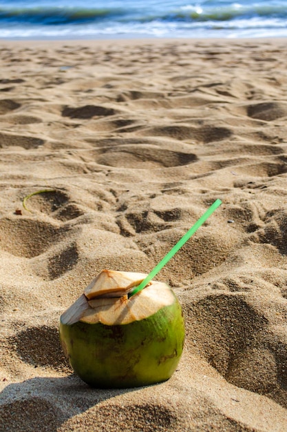 Summer holiday by the sea open coconut with a straw on the beach against the background of the sea shore the sea beach loungers