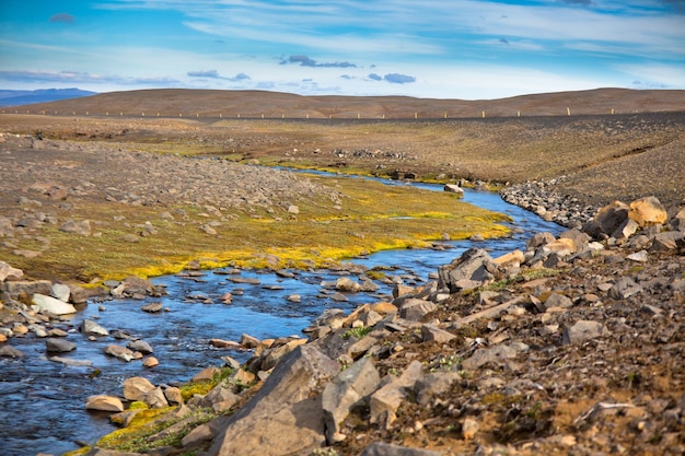 Summer Iceland Landscape with Small River Stream