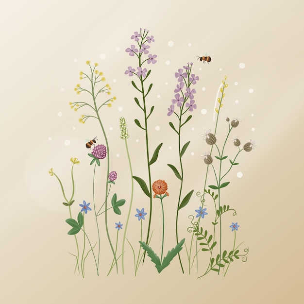 Photo summer illustration with wildflowers and bees